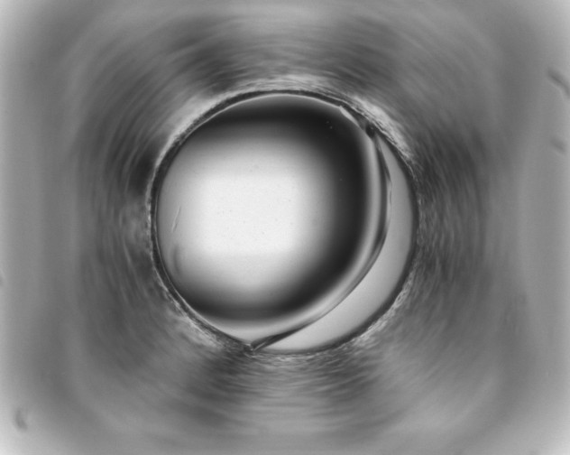 X0000094361184200711021503