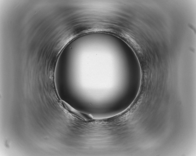 X0000094361185200711021503