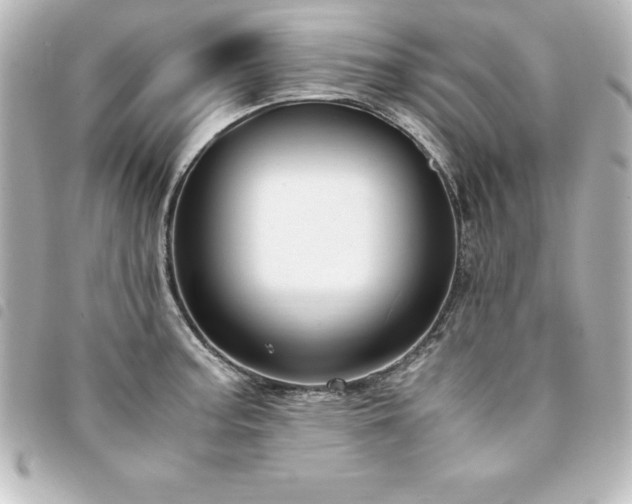 X0000094361187200711021503
