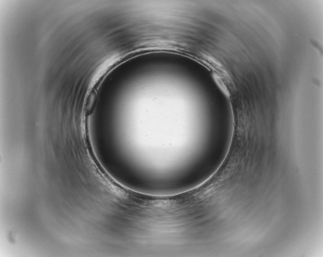 X0000094361188200711021503
