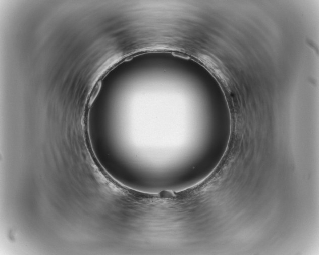 X0000094361189200711021503