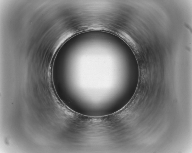 X0000094361190200711021503