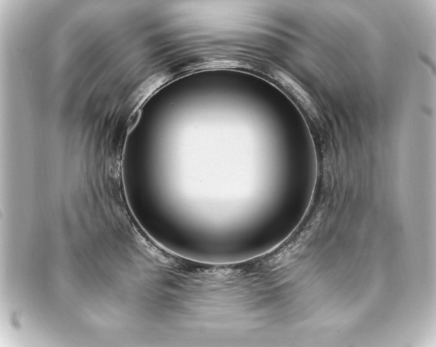 X0000094361193200711021503