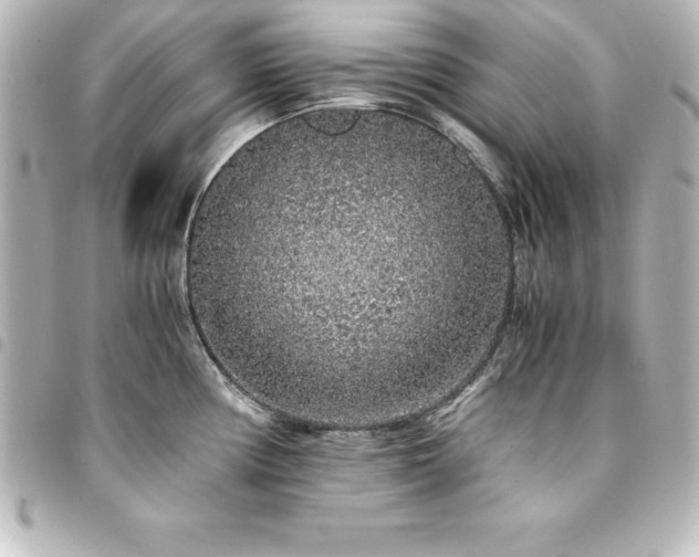 X0000094361194200711021503