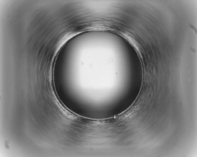 X0000094361195200711021503