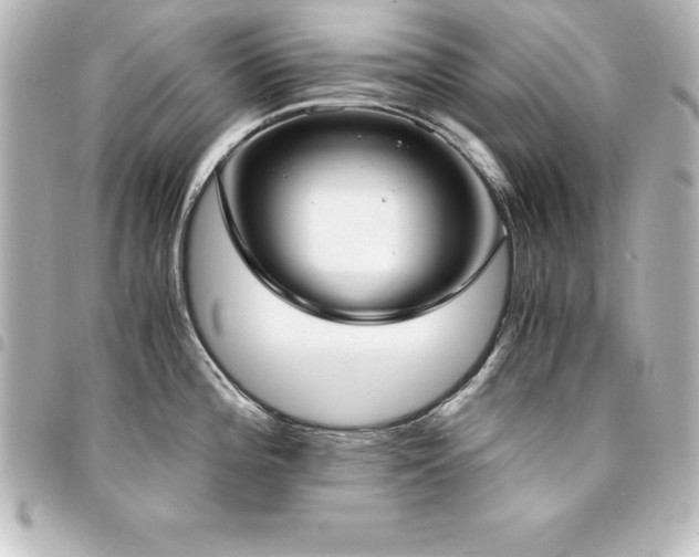 X0000094361196200711021503