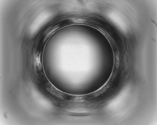 X0000094361198200711021503