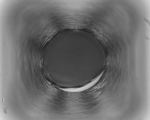 X0000094361202200711021502