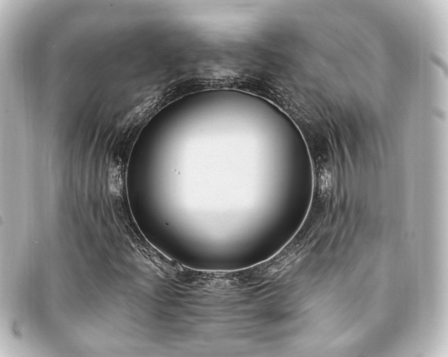 X0000094361204200711021502