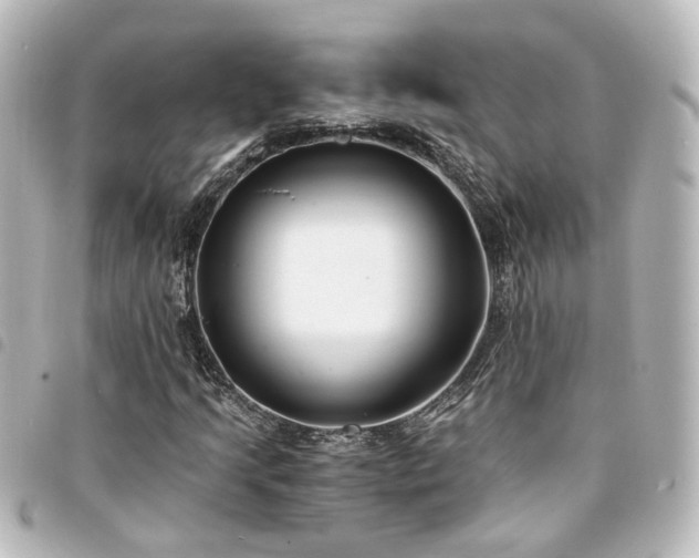 X0000094361205200711021502