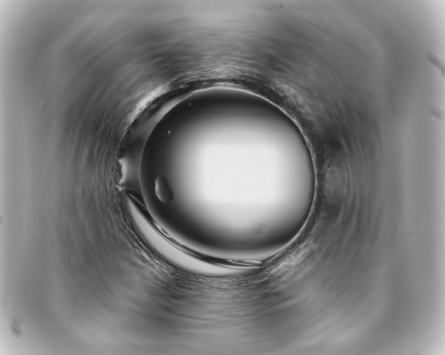 X0000094361210200711021502