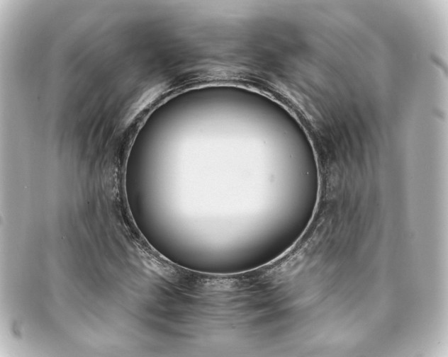 X0000094361211200711021502