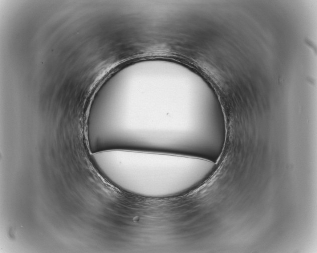 X0000094361212200711021502