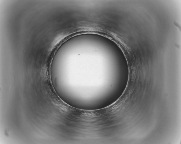 X0000094361215200711021502