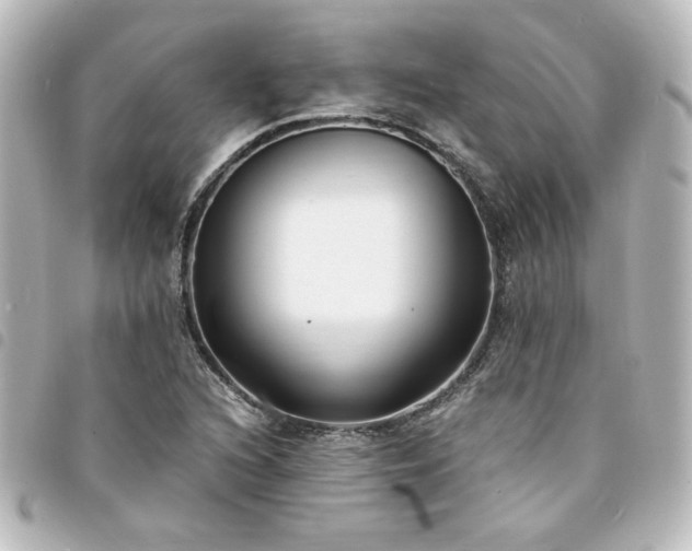 X0000094361216200711021502