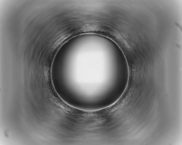 X0000094361217200711021502