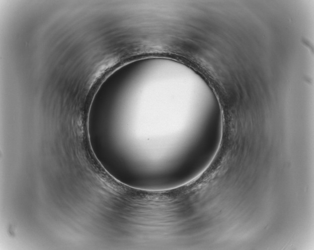 X0000094361218200711021502