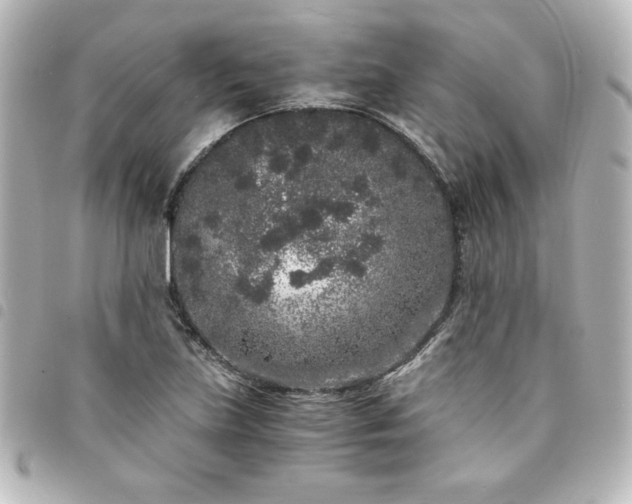 X0000094361219200711021502