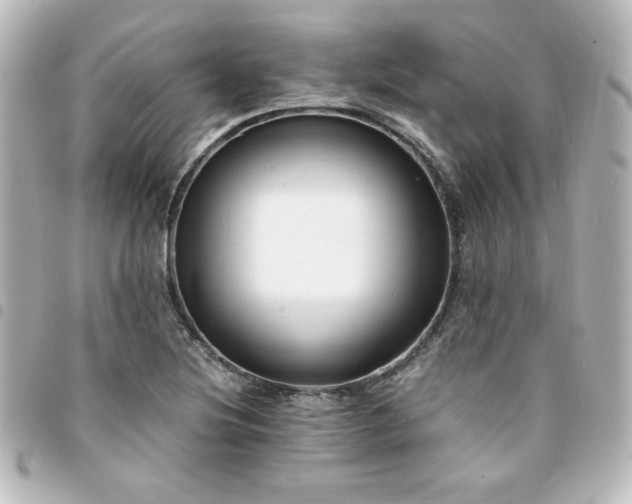 X0000094361220200711021502