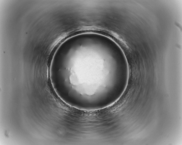 X0000094361221200711021503