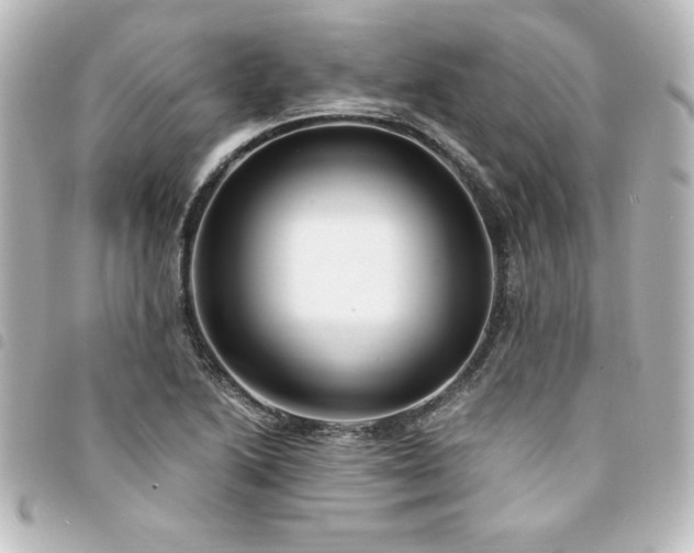 X0000094361222200711021503