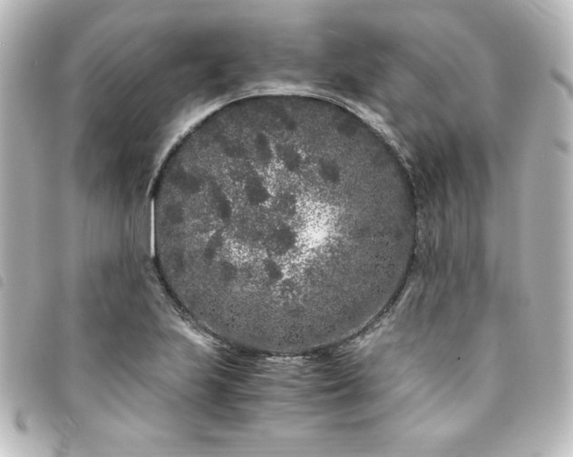 X0000094361223200711021503