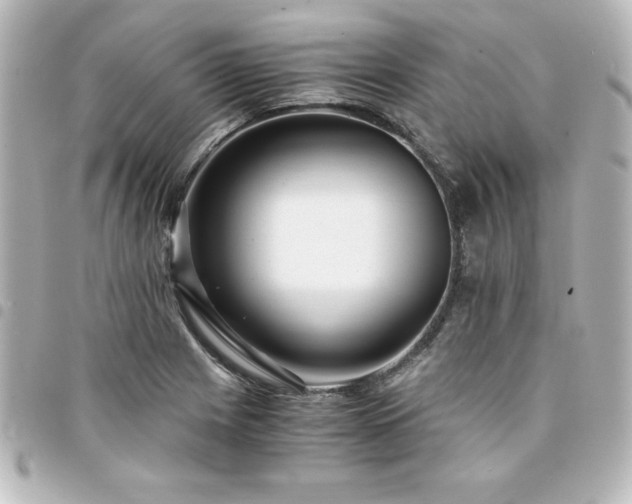 X0000094361225200711021503