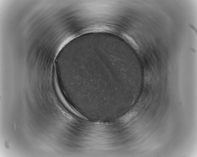 X0000094361226200711021503