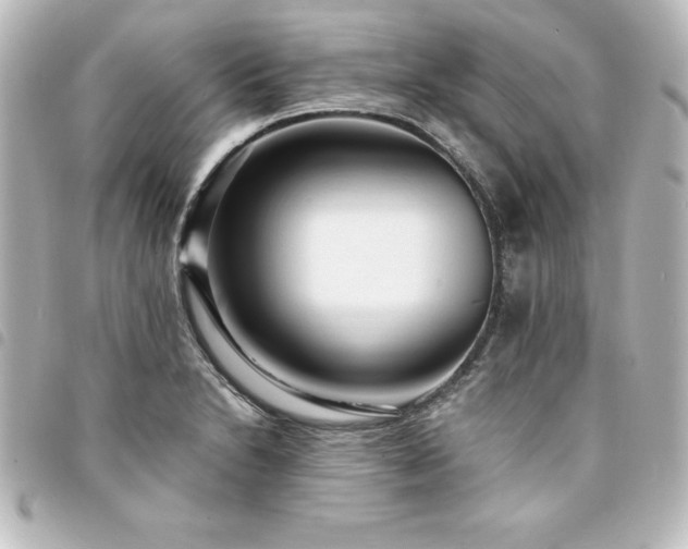 X0000094361230200711021503