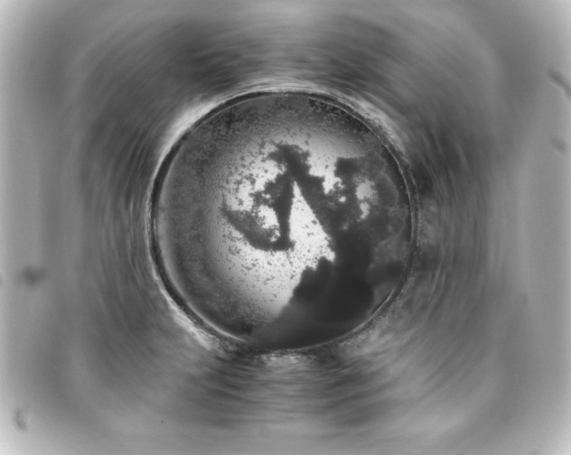 X0000094361231200711021503