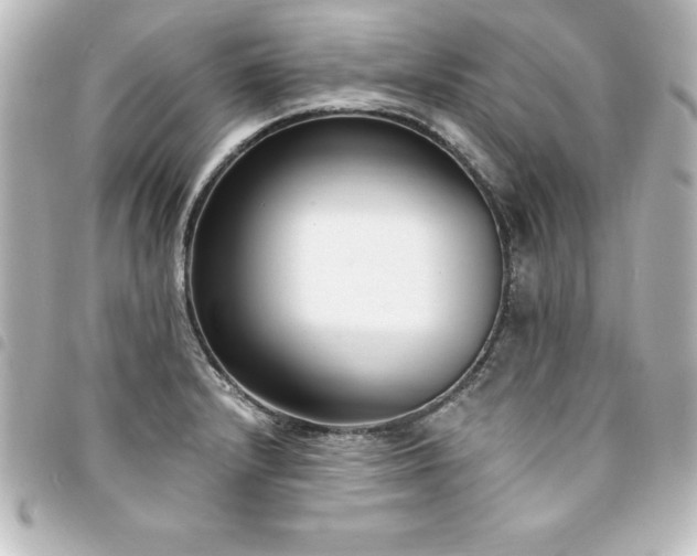 X0000094361232200711021503