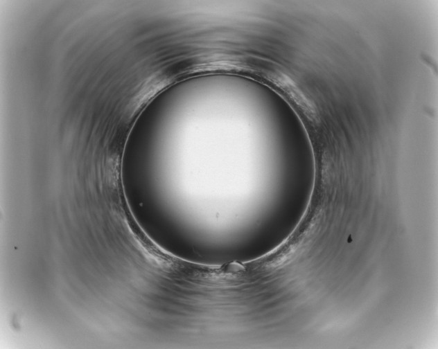X0000094361233200711021503
