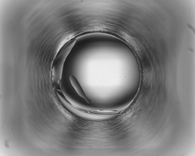 X0000094361234200711021503