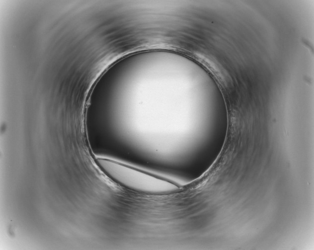 X0000094361236200711021503