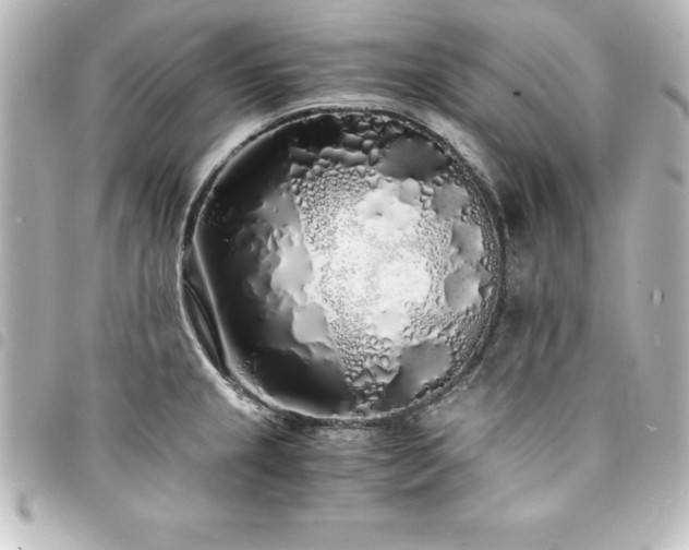 X0000094361237200711021503