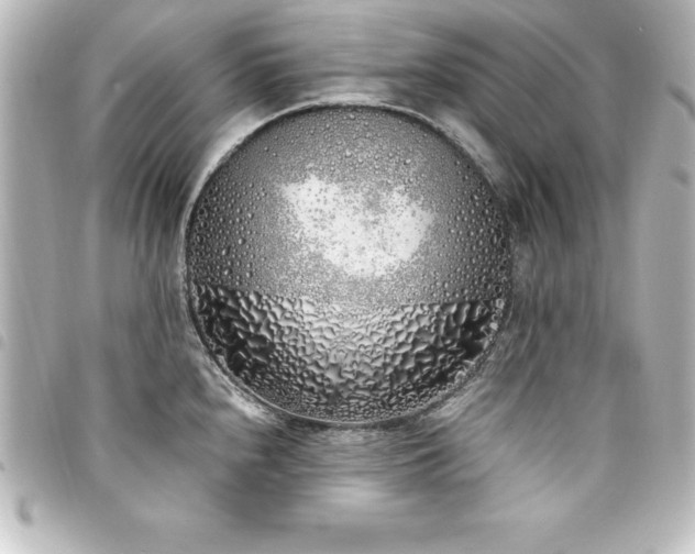 X0000094361240200711021503