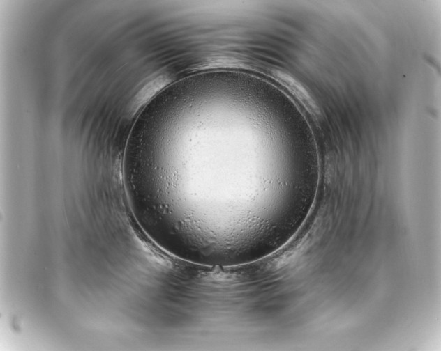 X0000094361241200711021503