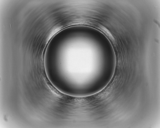 X0000094361242200711021503