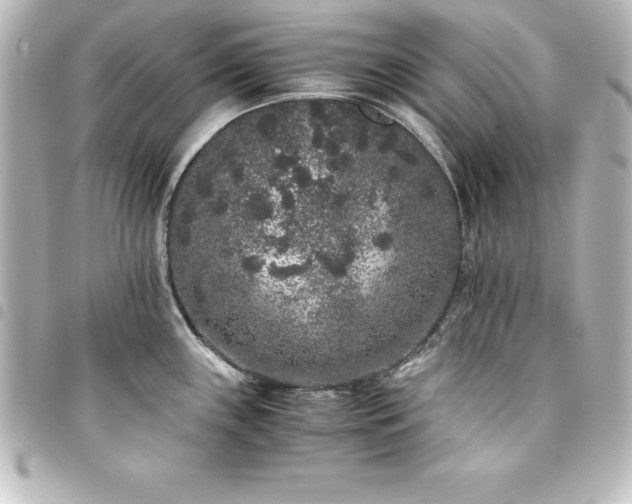X0000094361243200711021503