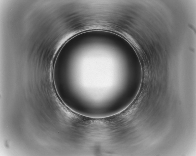 X0000094361246200711021503