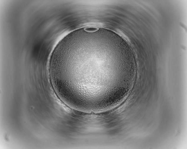 X0000094361248200711021503
