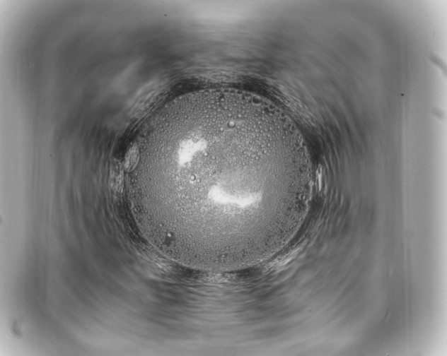 X0000094361251200711021502