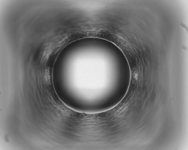 X0000094361252200711021502