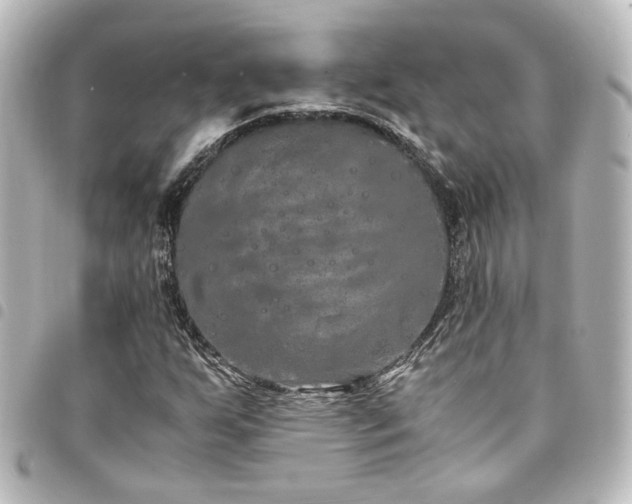 X0000094361255200711021502