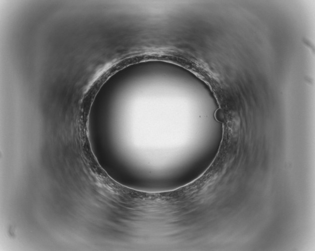 X0000094361256200711021502