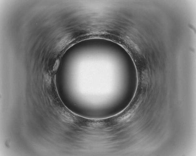 X0000094361257200711021502