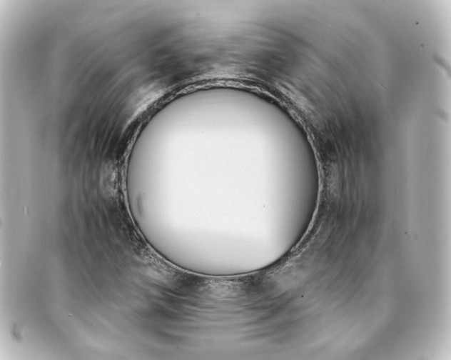 X0000094361258200711021502