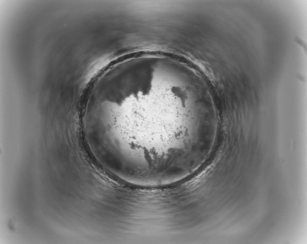 X0000094361263200711021502