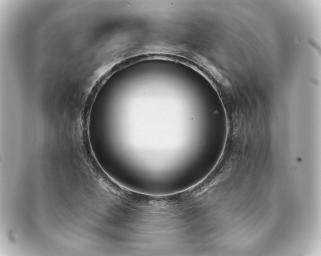 X0000094361264200711021502