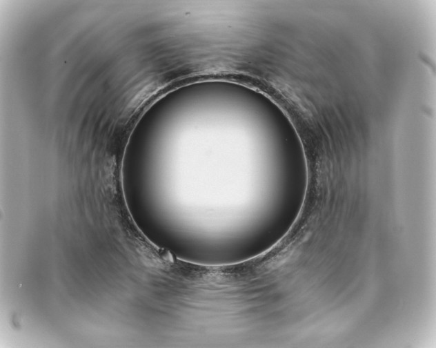 X0000094361265200711021502